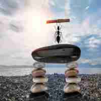 行‌业‍seo方​案‍